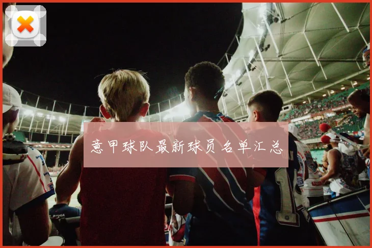 意甲球队最新球员名单汇总